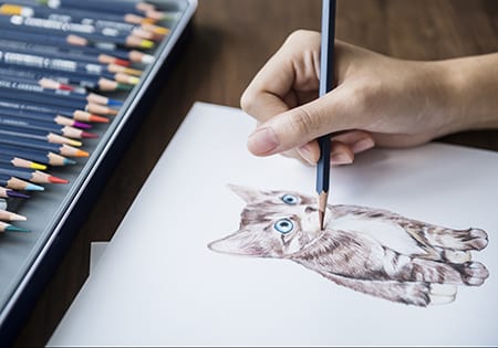 Some drawing a kitten with colored pencils